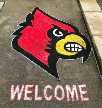 Chalk-Drawing-Cardinal-Logo